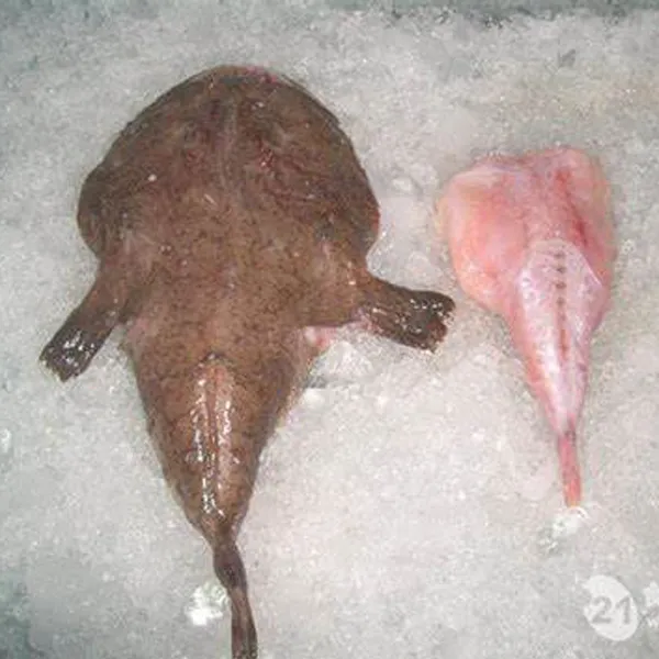 Monkfish Whole Round